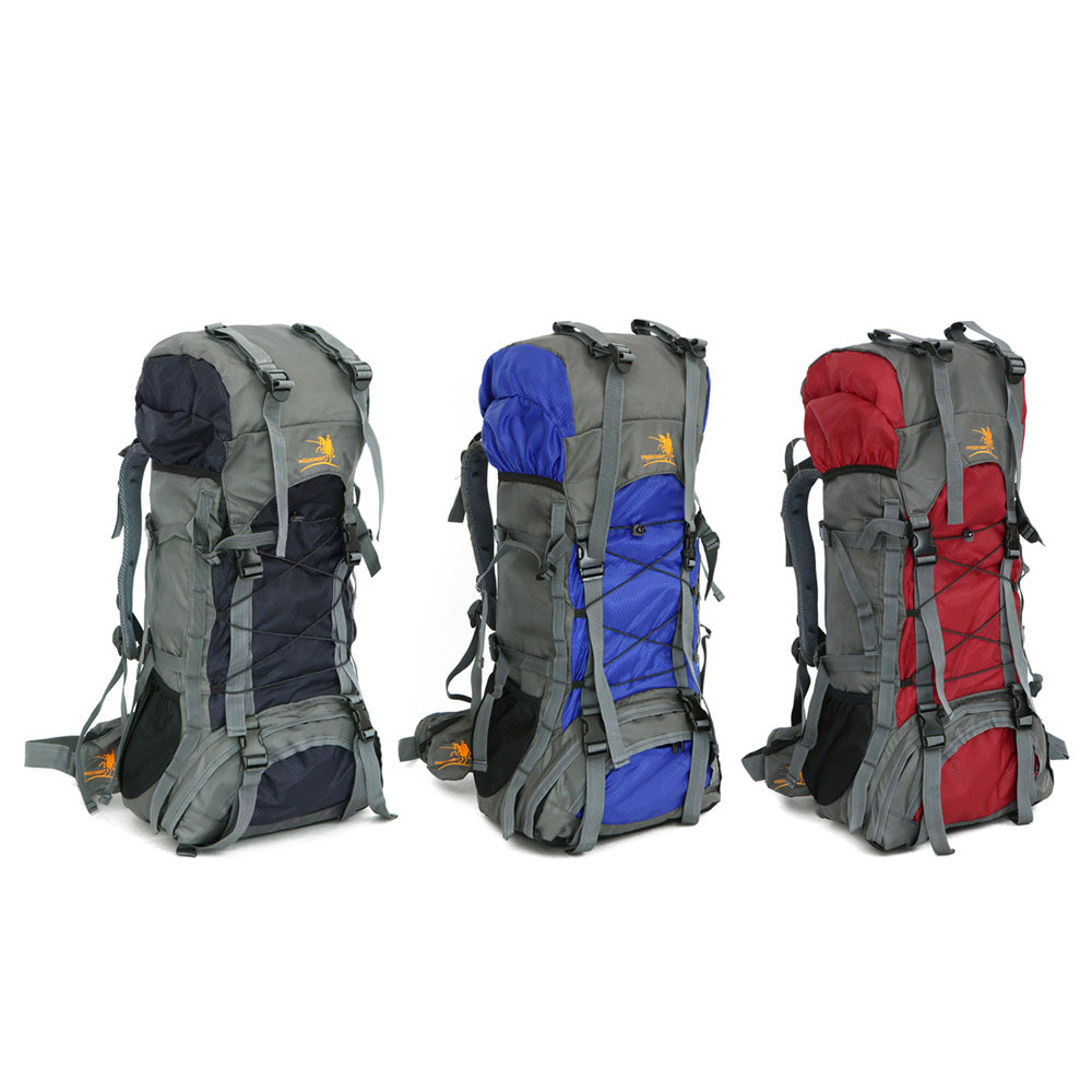 60L Travel Backpack